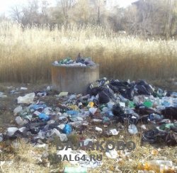 Город в грязи и мусоре претендует на звание самый благоустроенный город России