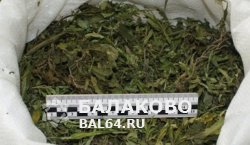 В Балаково задержали мужчину с килограммом марихуаны