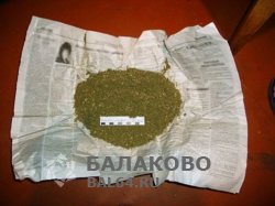 У жителя Балаково изъята марихуана