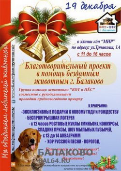 Благотворительный проект в помощь животным г. Балаково