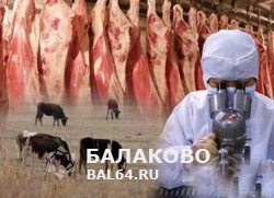 Профилактика и борьба с  туберкулезом сельскохозяйственных животных на территории Балаковского муниципального района