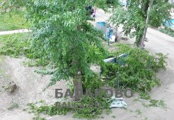 В Балаково дерево упало на автомобиль