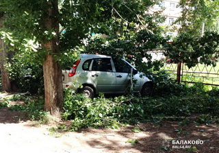 Упавшее дерево покорежило два автомобиля